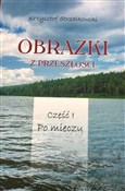 Polska książka : Obrazki z ... - Krzysztof Strzałkowski