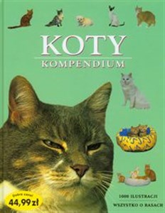 Picture of Koty Kompendium