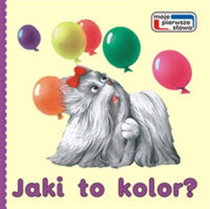 Picture of Jaki to kolor