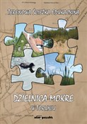 polish book : Dzielnica ...