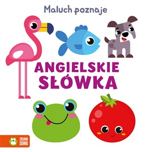 Picture of Maluch poznaje Angielskie słówka