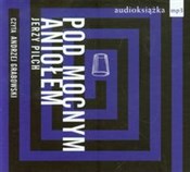 Polska książka : [Audiobook... - Jerzy Pilch