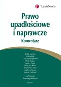 Prawo upad... - Rafał Adamus, Halina Buk, Dariusz Chrapoński -  books in polish 