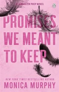 Picture of Promises We Meant To Keep