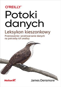 Picture of Potoki danych Leksykon kieszonkowy Przenoszenie i przetwarzanie danych na potrzeby ich analizy