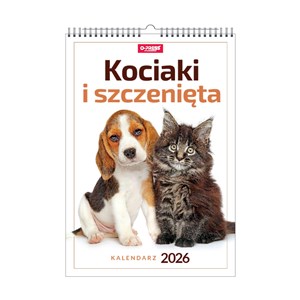 Picture of Kalendarz 2026 Kociaki i Szczeniaki A3 ścienny