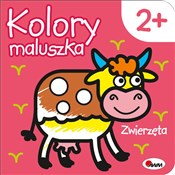 Książka : Kolory mal... - Opracowanie Zbiorowe