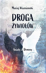 Picture of Droga Żywiołów. Anioły i Demony