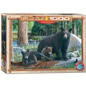 Książka : Puzzle 100...