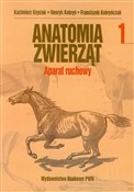 polish book : Anatomia z... - Kazimierz Krysiak, Henryk Kobryń, Franciszek Kobryńczuk
