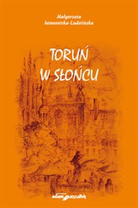 Picture of Toruń w słońcu