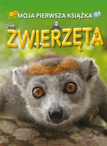 Picture of Moja pierwsza książka: Zwierzęta