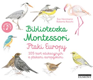 Picture of Biblioteczka Montessori Ptaki Europy 105 kart edukacyjnych z ptakami europejskimi
