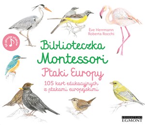 Obrazek Biblioteczka Montessori Ptaki Europy 105 kart edukacyjnych z ptakami europejskimi