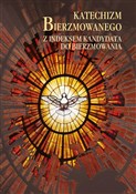 Katechizm ... - Łukasz Michalski -  books in polish 