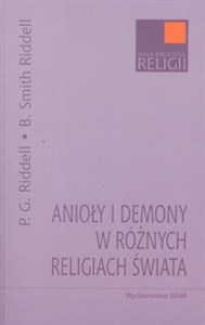 Picture of Anioły i demony w różnych religiach świata