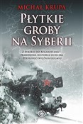 polish book : Płytkie gr... - Michał Krupa