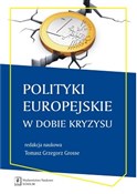 Polityki e... - Tomasz Grzegorz Grosse -  Książka z wysyłką do UK
