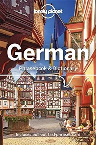 Picture of Phrasebook & Dictionary
