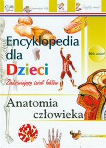 Obrazek Anatomia człowieka Encyklopedia dla dzieci