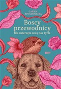 Polska książka : Boscy prze... - Caryn Rivadeneira