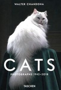 Obrazek Cats Photographs 1942-2018