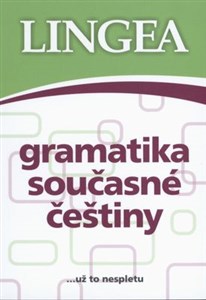 Picture of Gramatyka współczesnego języka czeskiego
