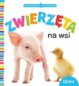 Picture of Maluszek poznaje Zwierzęta na wsi