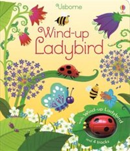 Picture of Wind-up Ladybird