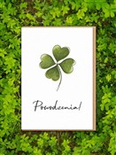 Kartka oko... -  Książka z wysyłką do UK