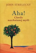 Aha! Chwil... - John Strelecky -  books from Poland