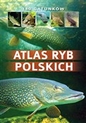 Polska książka : Atlas ryb ... - Bogdan Wziątek, Łukasz Kolasa
