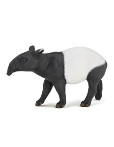 Obrazek Tapir