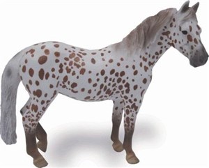 Obrazek Klacz British Spotted Pony maści kasztan Leopard XL