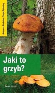 Obrazek Jaki to grzyb?