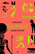 Hieroglify... - Andrzej Ćwiek -  books in polish 