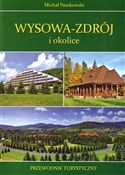 polish book : Wysowa Zdr... - Michał Paszkowski