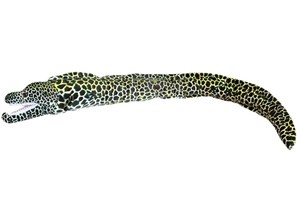 Obrazek Murena ciemna 110cm