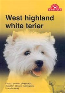 Picture of West highland white terier