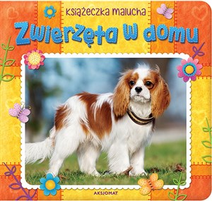 Picture of Zwierzęta w domu Książeczka malucha