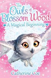 Obrazek The Owls of Blossom Wood: A Magical Beginning