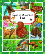 polish book : Las. Świat... - Emilie Beaumont