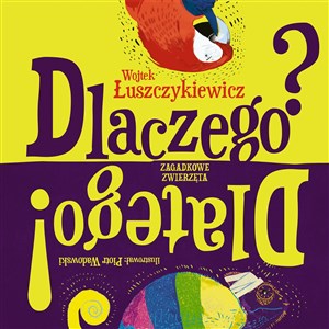 Picture of Dlaczego? Dlatego!