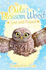 Obrazek The Owls of Blossom Wood: Lost and Found