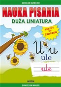 polish book : Nauka pisa... - Beata Guzowska