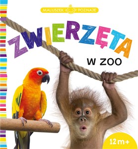 Obrazek Maluszek poznaje Zwierzęta w zoo