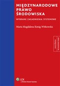 Polska książka : Międzynaro... - Maria Magdalena Kenig-Witkowska