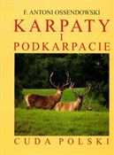 polish book : Karpaty i ... - Antoni Ferdynand Ossendowski