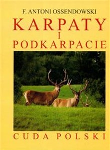 Obrazek Karpaty i Podkarpacie reprint