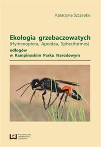 Obrazek Ekologia grzebaczowatych (Hymenoptera, Apoidea, Spheciformes) odłogów w Kampinowskim Parku Narodowym